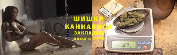 сатива Володарск