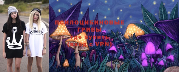 сатива Володарск