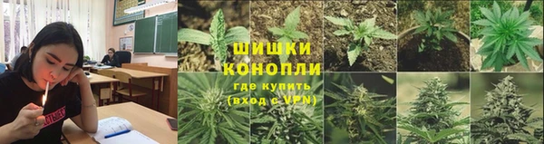сатива Володарск