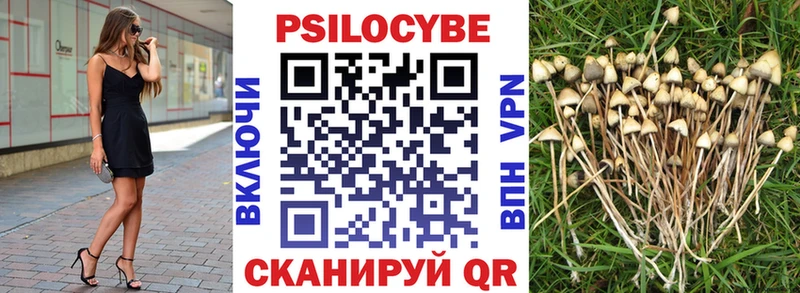 Галлюциногенные грибы Psilocybe  мориарти наркотические препараты  Осташков 